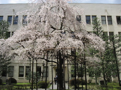 b0055171_22243732.jpg