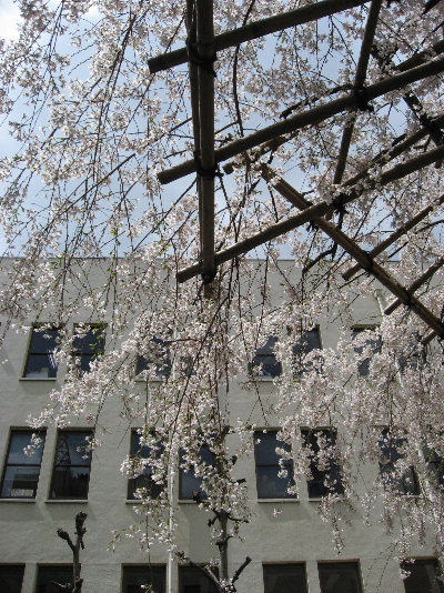 b0055171_22245137.jpg