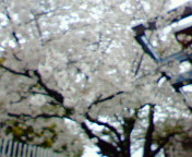 d0069575_2127392.jpg