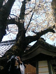 c0026178_0123642.jpg