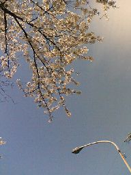 c0026178_012827.jpg