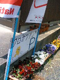 c0026178_0132870.jpg