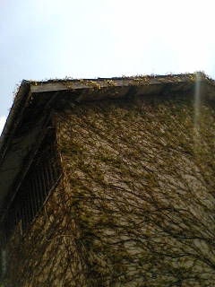 e0116383_13104138.jpg