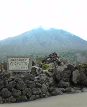 f0137483_12554863.jpg