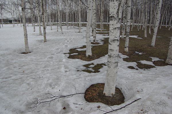 e0051186_20262015.jpg