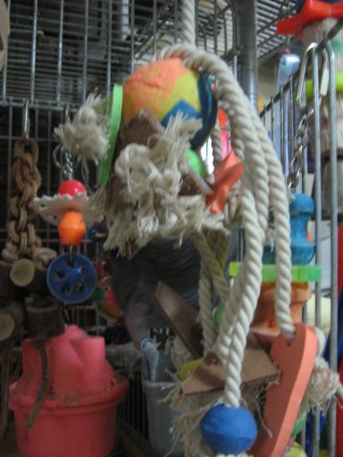 c0076490_2321545.jpg