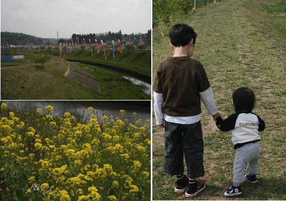 d0100192_2112562.gif