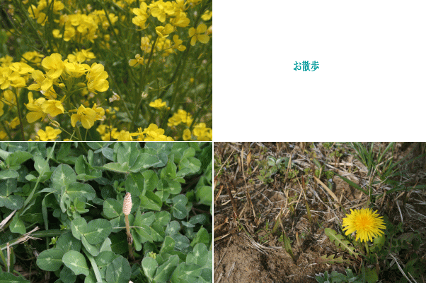 d0100192_2131021.gif