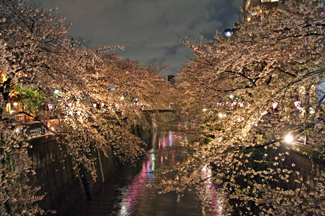 c0025895_1492920.jpg