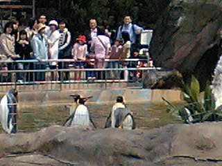 f0057095_22313099.jpg