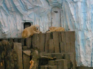 f0057095_22322791.jpg
