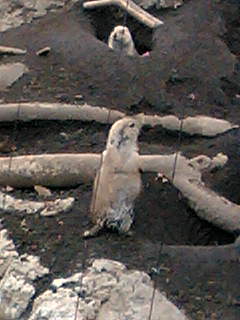 f0057095_22442732.jpg