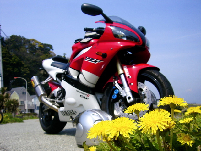 d0010496_14132476.jpg