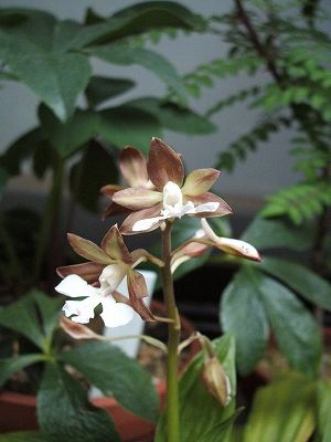 e0082098_10415550.jpg