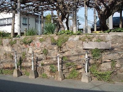 e0082098_10471913.jpg