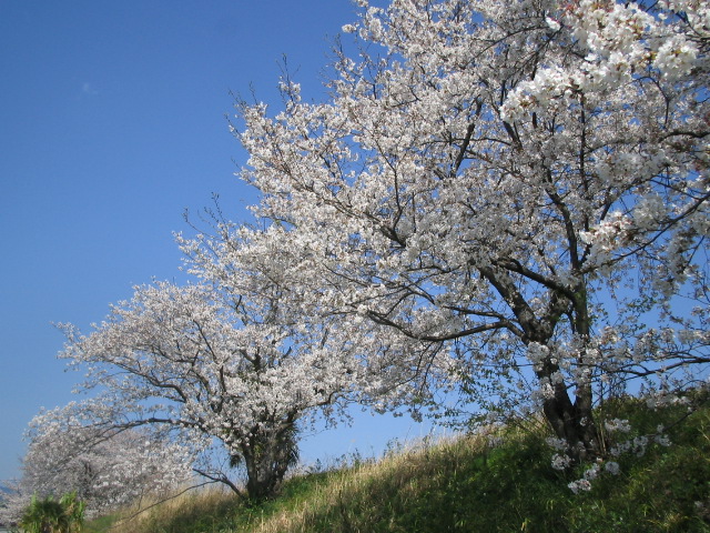 e0077599_9184950.jpg