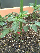 f0137402_22282554.jpg