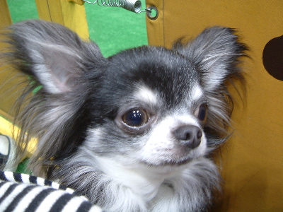 a0079803_2252465.jpg