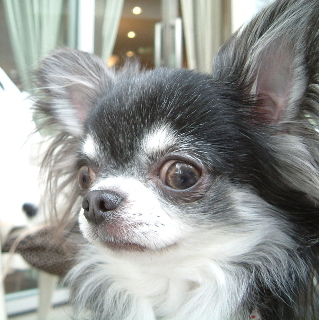 a0079803_22553340.jpg