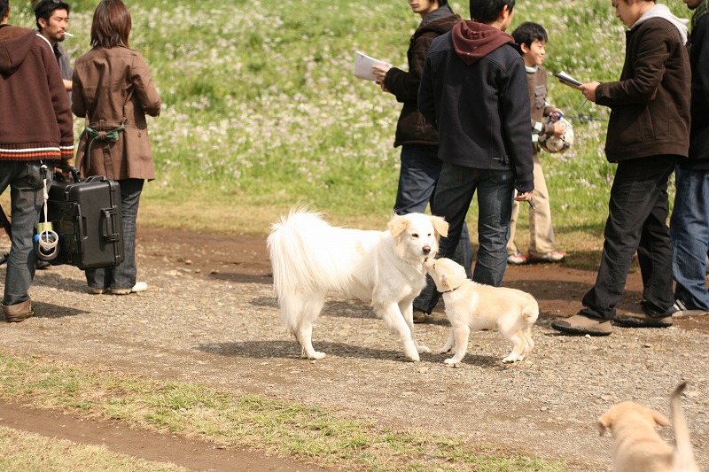 a0032004_18221872.jpg