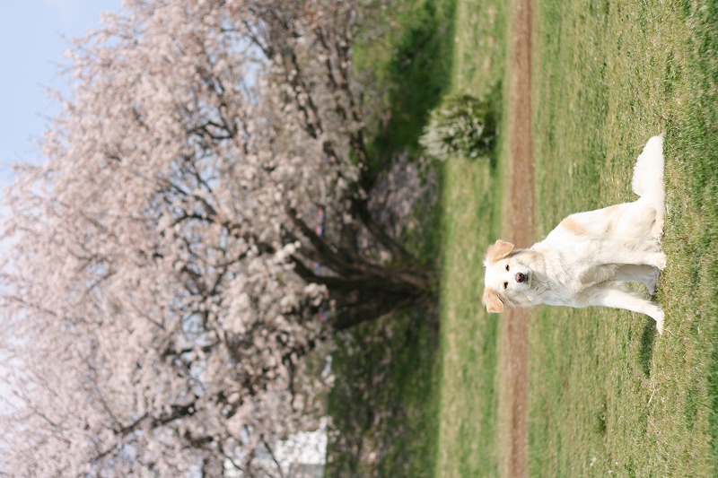 a0032004_1913478.jpg