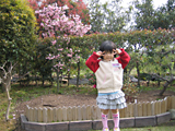 c0055305_23281462.jpg