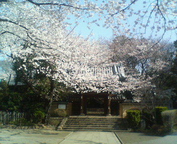 c0064706_21521179.jpg