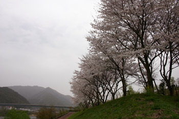 a0041108_21133592.jpg