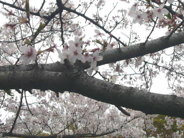 b0099212_2137559.jpg