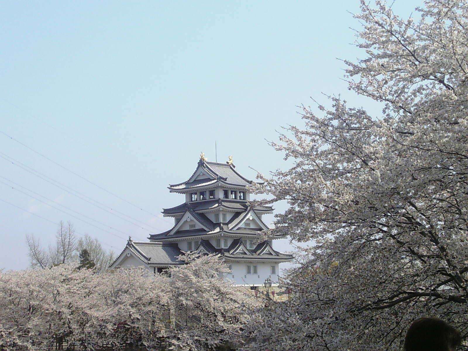 c0073612_21552090.jpg