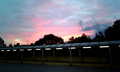 f0131912_1513964.jpg