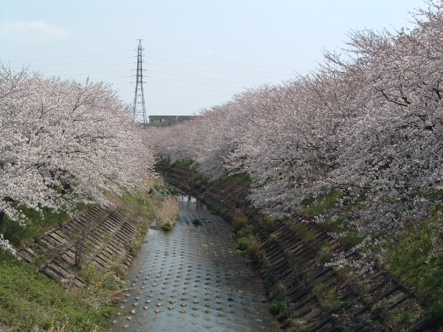 b0062214_20383634.jpg