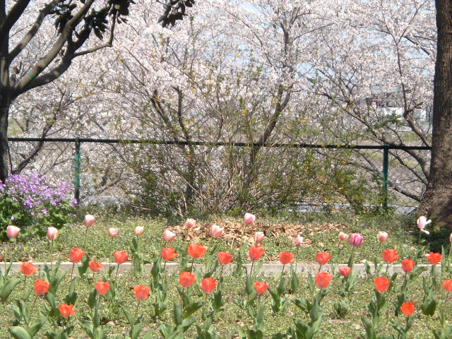 b0062214_2040716.jpg