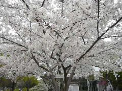 c0002614_22105498.jpg