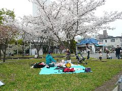 c0002614_2281226.jpg