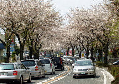 a0022216_15401677.jpg