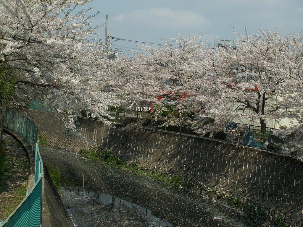 e0039316_1748072.jpg
