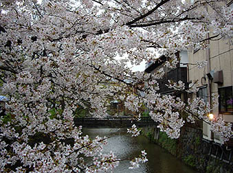 f0024419_114401.jpg
