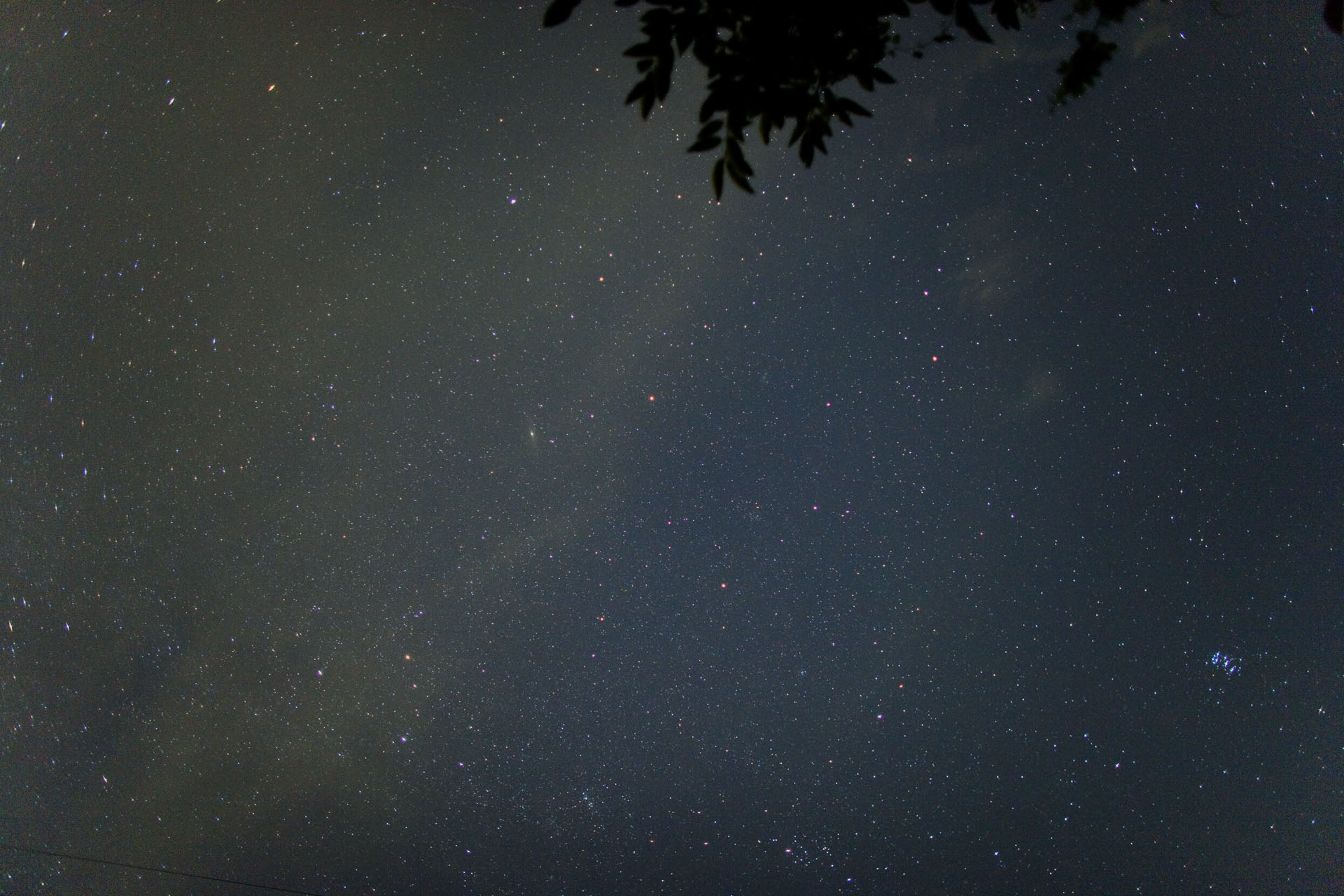 d0073620_1625338.jpg