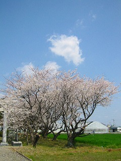 c0094621_16354177.jpg