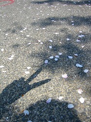 c0094621_16414664.jpg