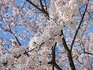 c0094621_16442128.jpg