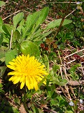 c0094621_22144350.jpg