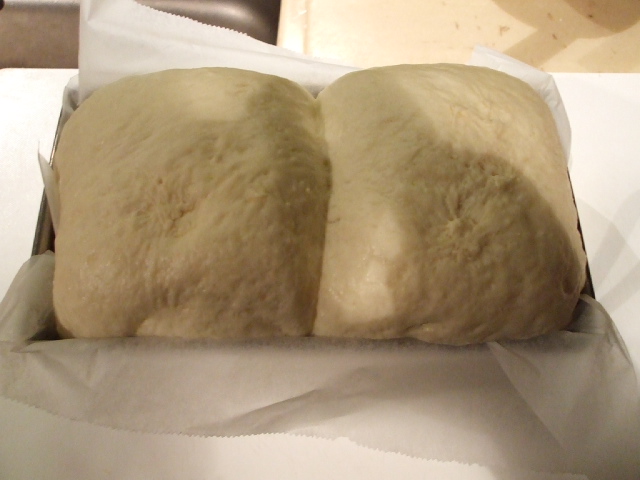e0006321_0565934.jpg