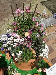f0054421_17525040.jpg