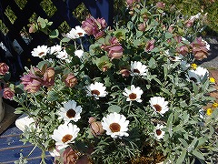 f0054421_1753334.jpg