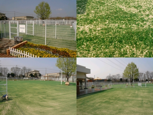 f0128821_21165794.jpg