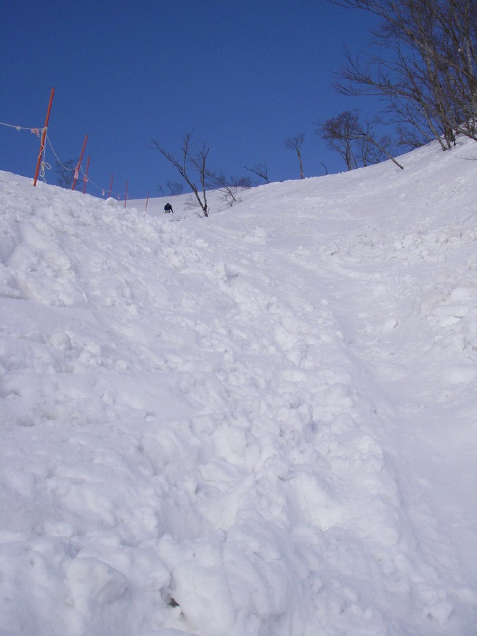 b0062024_174502.jpg