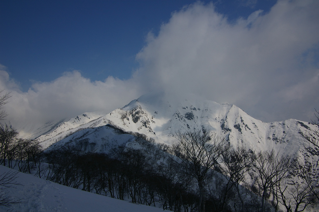 b0062024_17474250.jpg