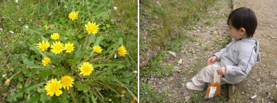 e0009324_2305245.jpg
